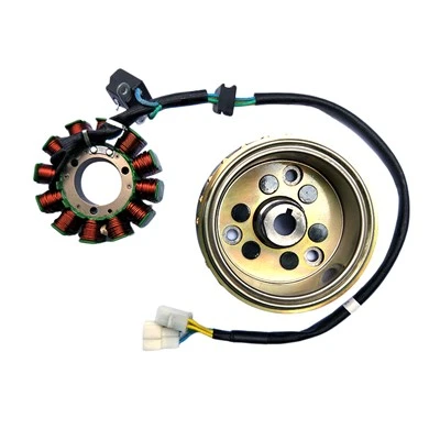 EFI GT250-12 полюсен трифазен постоянен статор